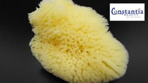 Constantia Beauty ® Natural Sea Silk Sponges 12pack use like Cotton Balls Cosmetic Grade Makeup Application Blending & Removal Face & Eye Cleaning Size 9pc x1.5"-2.5" 3pc x 2.5"-3" Reuseable Bag