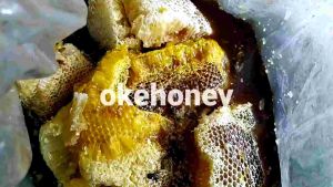 madu sarang lebah hutan liar madu ODENG 500 GR