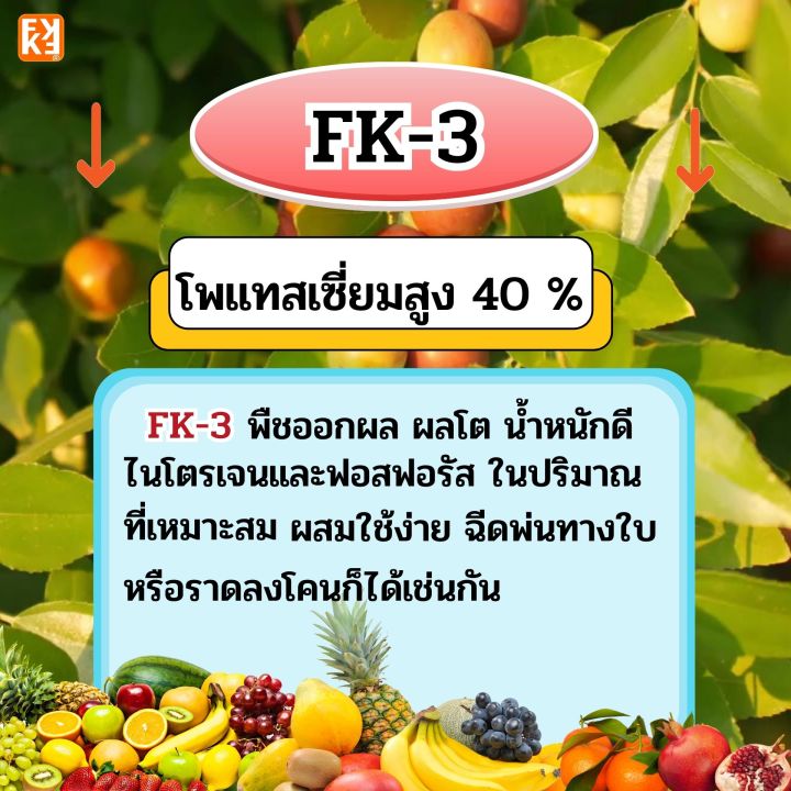 %E0%B8%9B%E0%B8%B8%E0%B9%8B%E0%B8%A2%E0%B8%99%E0%B9%89%E0%B8%B3%20FK-3%20%E0%B8%8A%E0%B8%B8%E0%B8%94%E0%B9%80%E0%B8%9E%E0%B8%B4%E0%B9%88%E0%B8%A1%E0%B8%9C%E0%B8%A5%E0%B8%9C%E0%B8%A5%E0%B8%B4%E0%B8%95%20%E0%B9%82%E0%B8%9B%E0%B9%81%E0%B8%95%E0%B8%AA%E0%B9%80%E0%B8%8B%E0%B8%B5%E0%B8%A2%E0%B8%A1%E0%B8%AA%E0%B8%B9%E0%B8%87%20%E0%B8%AA%E0%B8%B3%E0%B8%AB%E0%B8%A3%E0%B8%B1%E0%B8%9A%E0%B8%9E%E0%B8%B7%E0%B8%8A%E0%B8%AD%E0%B8%AD%E0%B8%81%E0%B8%9C%E0%B8%A5%20%E0%B8%9C%E0%B8%A5%E0%B9%83%E0%B8%AB%E0%B8%8D%E0%B9%88%20%E0%B9%81%E0%B8%82%E0%B9%87%E0%B8%87%E0%B9%81%E0%B8%A3%E0%B8%87%20%E0%B8%A1%E0%B8%B5%E0%B8%99%E0%B9%89%E0%B8%B3%E0%B8%AB%E0%B8%99%E0%B8%B1%E0%B8%81%20%E0%B8%9C%E0%B8%A5%E0%B8%9C%E0%B8%A5%E0%B8%B4%E0%B8%95%E0%B8%94%E0%B8%B5%20%E0%B9%82%E0%B8%94%E0%B8%A2%20FK%20%E0%B8%82%E0%B8%99%E0%B8%B2%E0%B8%94%202%20%E0%B8%81%E0%B8%B4%E0%B9%82%E0%B8%A5%E0%B8%81%E0%B8%A3%E0%B8%B1%E0%B8%A1%20-%20Image%207