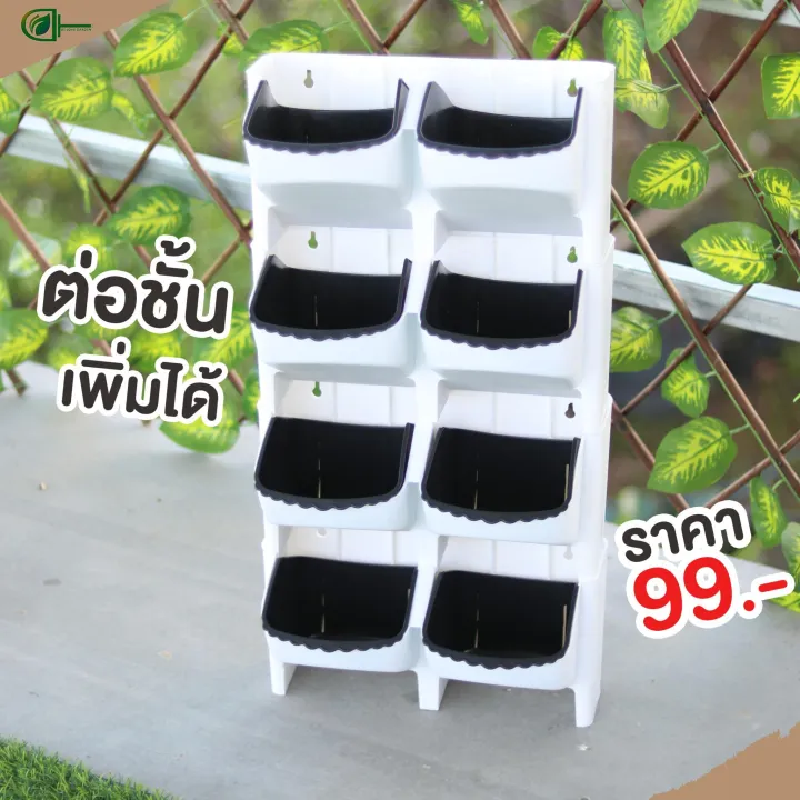 5 อันดับกระถางแขวนต้นไม้ยอดนิยม อัปเดตปี 2025