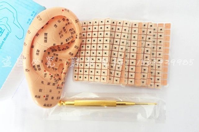 Ear Press Seed Auricular Vaccaria Seed With Ear Probe Ear Model Acupuncture Needle Ear Bead