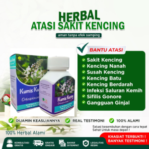 Obat Sipilis Raja Singa Kapsul Kumis Kucing TN57 Obat Kencing Nanah Herbal Paling Ampuh