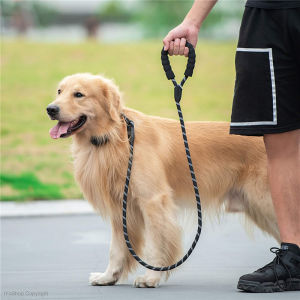 Strong Dog Leash with Padded Handle and Highly Reflective Threads Dog Leashes for Medium Large Dogs