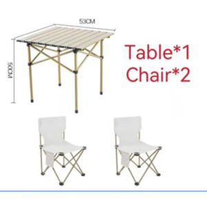 GIVENUSM Outdoor Foldable Table Portable Camping Table with Storage Bag for Beach Picnic Backyards BBQ Party