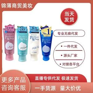 Japanese Professional Facial Cleanser New Edition Deep Cleansing Foam Moisturizing Makeup Remover Cleanser 120g Delivery
