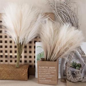 5PCS Fluffy Pampas Grass Boho Wedding Decor Fake Plant Reed Simulated Party Christmas Home Decor Artificial Flowers