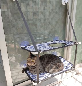 Window Double Tracker Hammock for Cats/ Sun Bathing/ Better View/ Katil Kucing/猫吊床