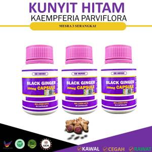 Black GInger Capsules Kunyit Hitam 3 Bottole 90 Capsules