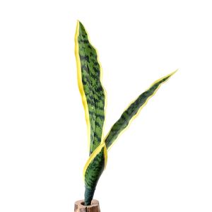 FELIZ Soft PVC ArtifIcial Snake Plant Photo Props Green Orchid Grass Creative Craft Lifelike Greenery Home Decoration