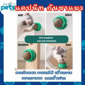 ของเล่นแมวแบบหมุนได้ของเล่นแมวแบบมีปฏิสัมพันธ์ลูกบอลน้ำตาลแคทนิปของเล่นแมวแบบอินเทอร์แอคทีฟ