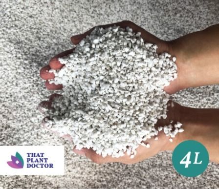 Malaysia Stock Perlite (4L) (3-6mm) (Natural Expanded Volcanic Perlite ...