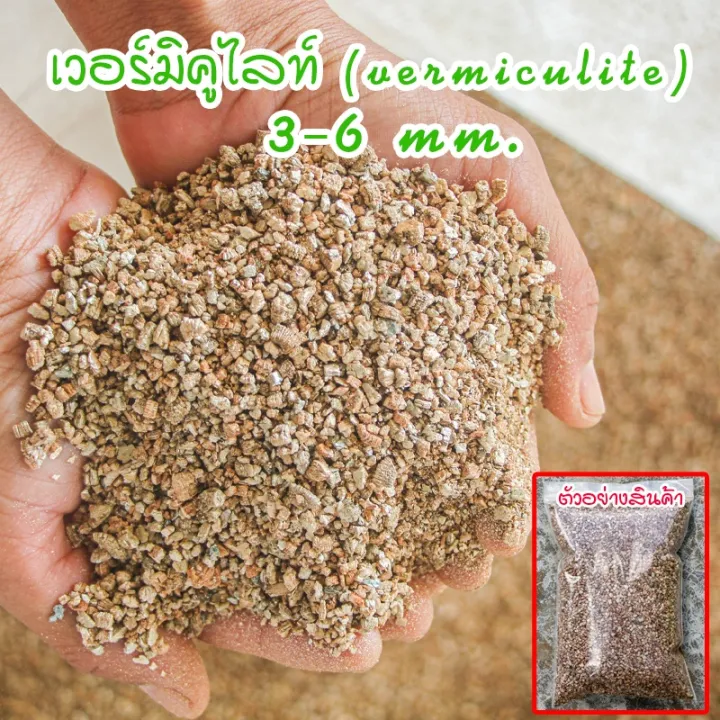 เวอร์มิคูไลท์ เพิ่มความโปร่งให้ดิน สำหรับดินแคคตัส ไม้ฟอกอากาศ