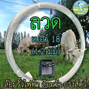 ลวด เบอร์ 18 ขนาด 1.2 มิล ล้อมวัว ล้อมรั้ว ลวดขาว ลวดสังกะสี ลวดชุป ลวดกัลวาไนซ์ ลวดขด ลวดสังกะสี ลวดชุบ ลวดล้อมวัว ลวดล้อมรั้ว