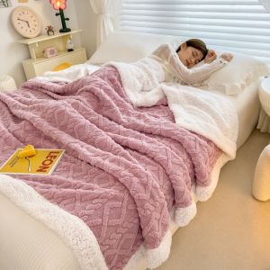 2024 Chăn Lông Cừu Phức Hợp Tafrong Hai Lớp Dày Giữ Ấm Mùa Đông Lông Cừu Văn Phòng Chăn Ngủ Trưa Bán Buôn Chăn Quà Tặng