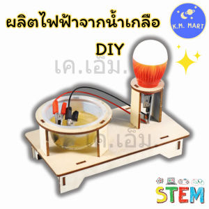 KM ชุดทดลองผลิตไฟฟ้าจากน้ำเกลือ STEM ไม้ DIY จุดหลอดไฟได้จริง เรียนรู้ไฟฟ้า Salt Water Power