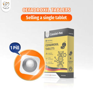 Cassiel Pet Antibiotics for Cat and Dog Cure for different Bacteria Infection Respiratory/Skin/Ear/Bones and Joint