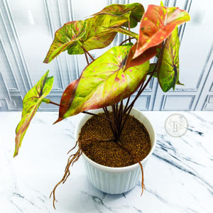 Tanaman Caladium Hias Daun Sintetis Artificial Pot Putih Elegan | Ukuran 15x30 | DIY Handmade Rapi | Dekorasi Rumah Estetik