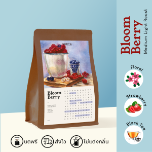 SURYA Coffee Explorers เมล็ดกาแฟกลิ่นเบอร์รี่คั่วกลาง BLOOMBERRY
