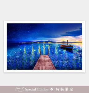 Pintoo Jigsaw Puzzle 1000 pcs H2887: Fantasy - Starry Night Port