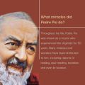 Laminated Padre Pio Novena Prayer | St Padre Pio | St Padre Pio Novena Prayer | Padre Pio Novena Chaplet. 