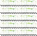 Tigeen 100 Pcs Rave Sprouts Bean Sprout Funny Hair Clips Mixed Style Plant Hairpins Hair Accessories for Home Party Irish. 