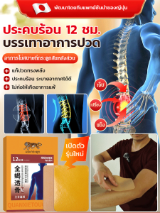 แผ่นแปะสมุนไพรบำรุงหลัง 12 แผ่น/กล่อง แผ่นแปะคอ แผ่นแปะขมิ้นชัน แผ่นแปะโกฐจุฬาลัมภา