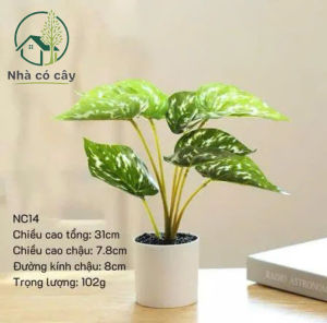 Chậu Cây Giả Để Bàn Cây Cảnh Decor Cây Decor Trang Trí Nhà Cửa Chậu Cây Giả Mini