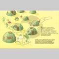 Alamat ng Ampalaya - Picture Book - Grade 4-6 Bilingual. 