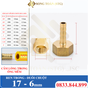 Đầu Nối Ren Trong 17 Đuôi Chuột Cắm Ống Mềm Lòng Trong Đồng Brass Barbed Hose Fitting