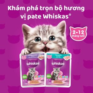 Súp pate whiskas dành cho mèo con và trưởng thành 80gr - T3 PETS SHOP