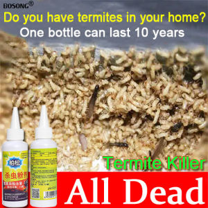 10 Years Without Termites: A Comprehensive Guide to Termite Killing Powder