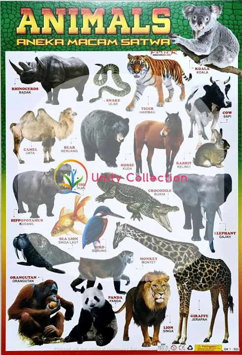 Paket%206%20Poster%20Edukasi%20Anak%20Lengkap%20Belajar%20Buah%20Huruf%20Abjad%20ABC%20Angka%20Sayuran%20Hewan%20Kendaraan%20-%20Image%208