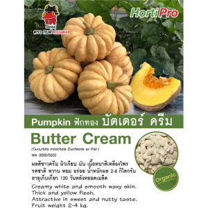 เมล็ดพันธุ์ ฟักทองบัตเตอร์ครีม (ซองกระดาษ)