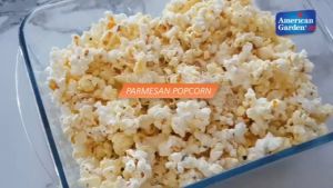 American Garden Microwave Popcorn 3 Bags x 3.2oz - Imported Ready-to-Pop Popcorn Movie Night Snack Cheese / Butter / Natural Flavors (1 Box 1 Flavor)