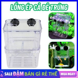 Lồng Đẻ Cho Cá Bảy Màu Chất Liệu Mica / Lồng Ép Cá Đẻ Tách Cá Bệnh Dưỡng Cá Nhỏ Gọn Dễ Sử Dụng / Khay Ép Cá Đẻ Trứng / LỒNG ẤP CÁ BẢY MÀU