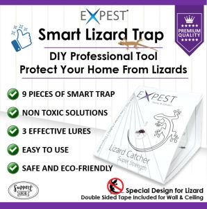 9 Pcs Smart Lizard (Cicak) Trap / DIY Lizard Killer