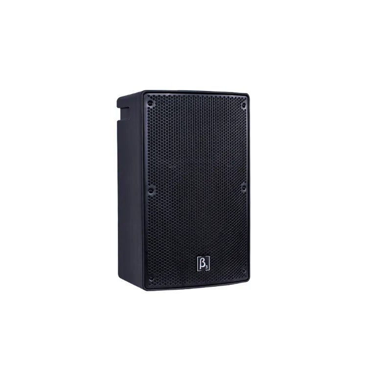 Beta Three Pro Audio VX10a 10\
