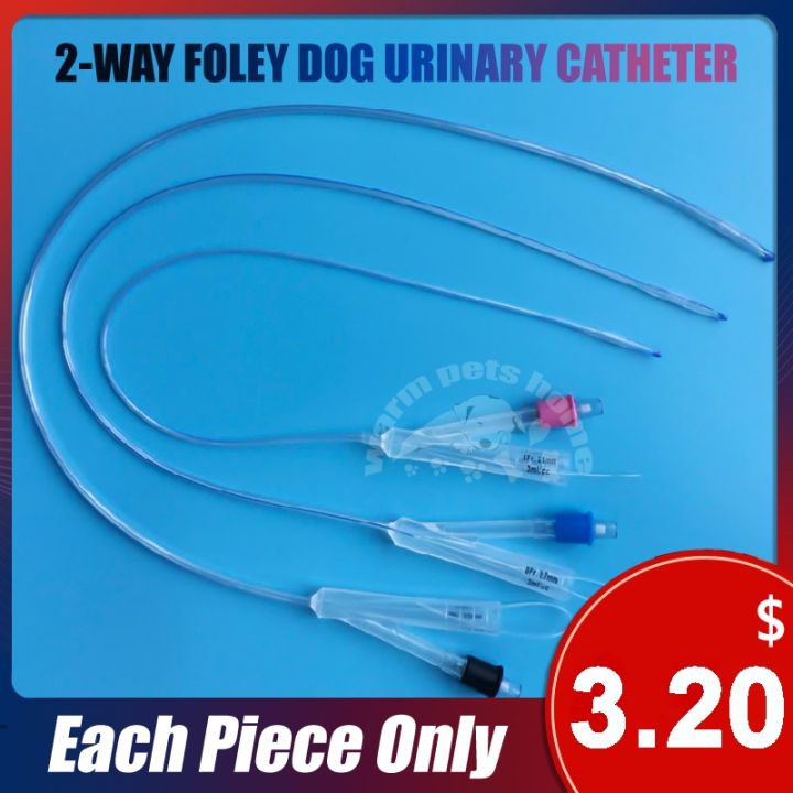 【YD】 Two-way Foley Canine Urinary Catheter with Balloon 2 Dog Catheters ...