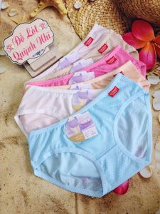[Combo 10] Quần Lót Nữ Thun Lỗ Thông Hơi Đủ Màu Trơn Co Giãn Thoải Mái (6505) Size :50 - 60 Kg - Đồ Lót Quỳnh Nhi