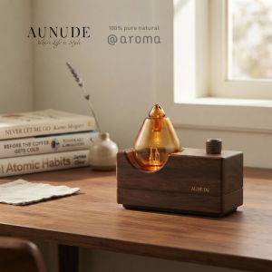 Aunude Fujisan Home and Room Nebuliser Waterless & Rechargeable Diffuser