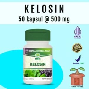 Kapsul Kelosin HNI HPAI Daun Kelor Pegagan Buah Bilberry Ekstrak Herbal Alam 50 Syaraf Ibu Hamil