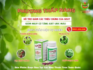Hỗ trợ điều trị Gút giảm cơn đau bệnh Gout Phương Thấp Nang 50viên