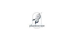 Phantoscope Premium Outdoor Pillow Inserts - Pack of 2 Square Form Water Resistant Polyester Throw Pillows Couch Sham Cushion Stuffer 18 X 18 inches