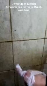 GREEN CLEANER 500 GRAM GRATIS KUAS DAN SARUNG TANGAN PEMBERSIH KAMAR MANDI
