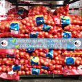 Bawang Holland ±1kg 白洋葱 荷兰葱 Fresh Stock[Handpicked]. 