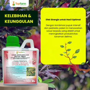 Pupuk Topfarm / Pestisida Topfarm / Pupuk Pelebat Buah Delima / Pupuk Untuk Tanaman Delima / Pupuk Khusus Buah Delima / Obat Pembasmi Hama Delima / Obat Pembasmi Hama Pohon Delima / Obat Hama Ulat Daun Buah Delima