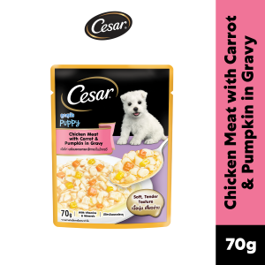 CESAR Wet Dog Food for Puppy in Chicken Meat with Carrot and Pumpkin Flavor in Gravy 70g (6 Packs)