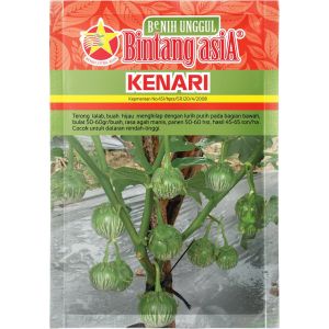 Benih Terong KENARI 10 Gram Cap Bintang Asia PT Benih Citra Asia Warna Buah Hijau Mengkilap Cocok Di Dataran Rendah Sampai Tinggi