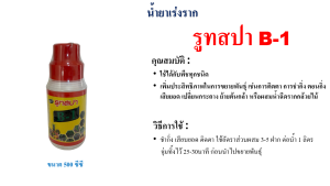 รูทสปา B-1 ช่วยเร่งการเจริญเติบโตและพัฒนาการของต้นไม้