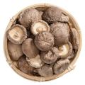 100% Pure Shiitake Mushrooms Powder, Lentinus Edodes Powder, Xiang Gu Powder. 